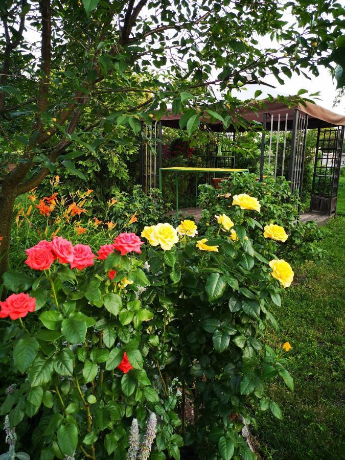 Apartment Fresh Air Vinyntsi
